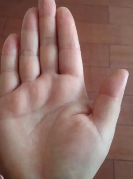 你就是小而厚润的金水掌!财福禄三宫饱满,纹路清晰深刻有力,气色红润!