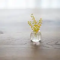 有爱的美美的小物件生活中精美小饰品高清唯美静物头像图片