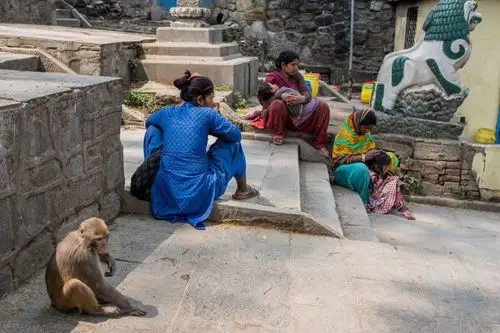 印度虽然整体经济比尼泊尔好的多,但是极端贫困的人口却比尼泊尔更多.
