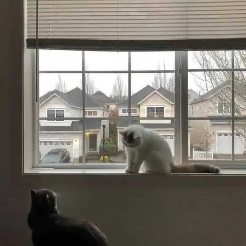 朋友圈背景图微信封面图