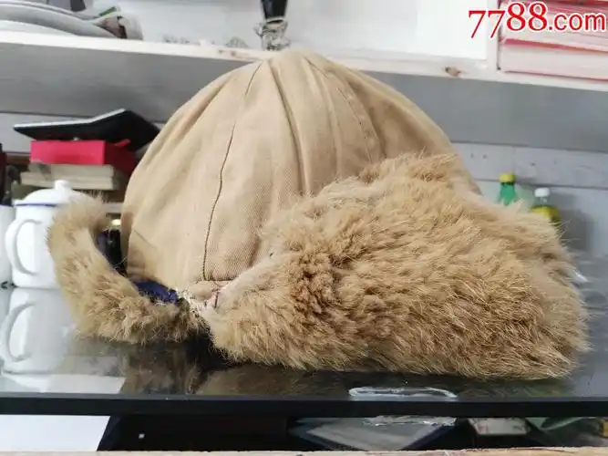 东北民主联军狗皮帽子