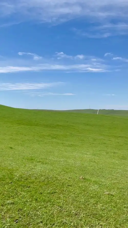 一望无际的内蒙大草原,天空蓝,草地绿,绝对的天然氧吧