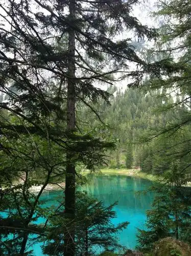 绿湖,水,湖,绿色,自然,池塘,绿水