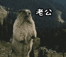 鼠呐喊表情包 - 鼠呐喊微信表情包 - 鼠呐喊qq表情包 - 发表情 fa