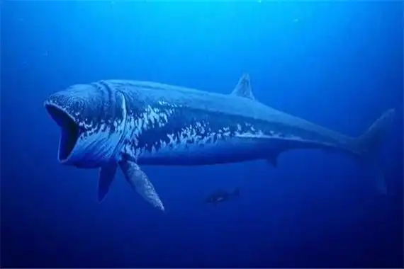 在发生大事件之后,这些生物完全灭绝,说发现的化石里面不仅仅有苍龙