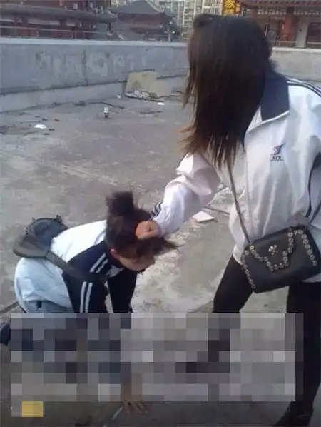 逮捕的校园涉嫌欺凌和暴力犯罪案件 2486件 3788 人,提起公诉 3494 件