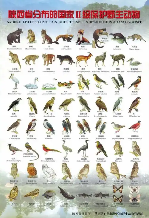 3月1日至10月31日这些地方禁猎陆生野生动物