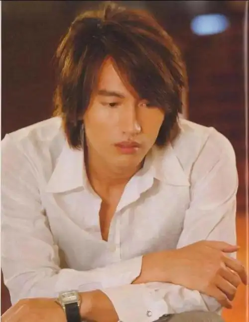 让四个名不见经传的小男孩成为了大明星,他们就是f4|言承旭|流星花园