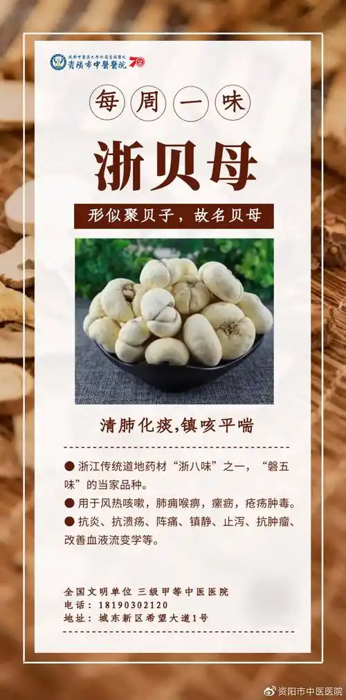 【每周一味】浙贝母:清肺化痰,镇咳平喘_功效_中药_浙江