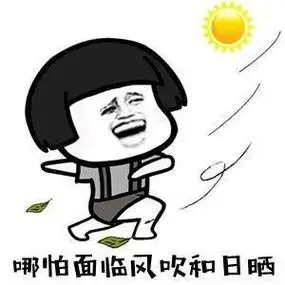 搞笑版笑傲江湖表情包:我手提一条大麻袋,头上顶着烂锅盖