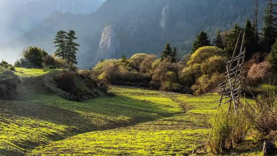 初春的扎尕那,生机勃勃!