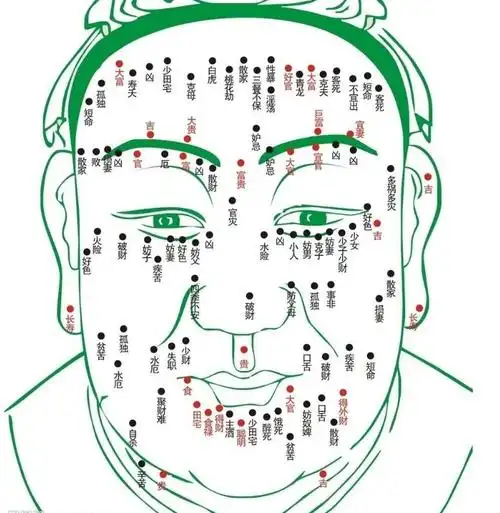 面痣图解吉凶