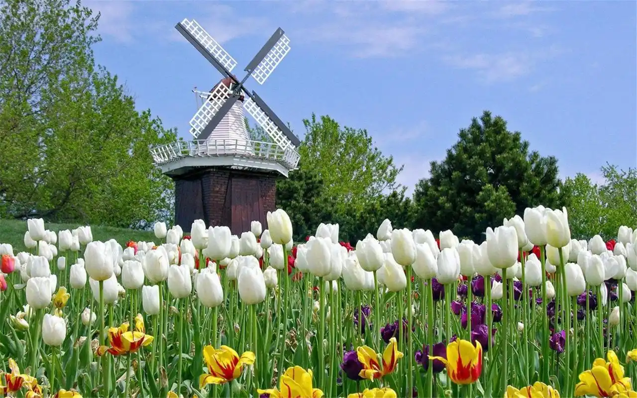 唯美意境自然风景桌面壁纸图片大全