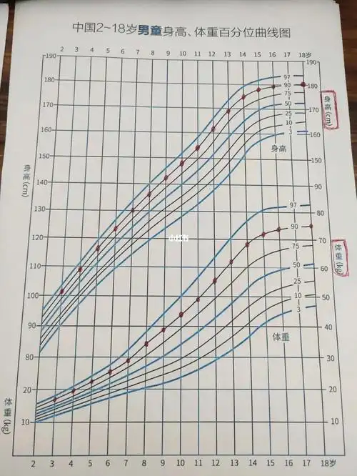 男孩成年180生长曲线
