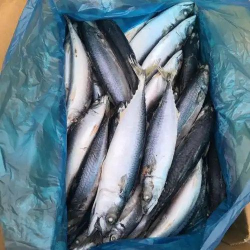 [顺丰]家庭装鲐鲅鱼青占鱼青条鱼有2斤4斤可选