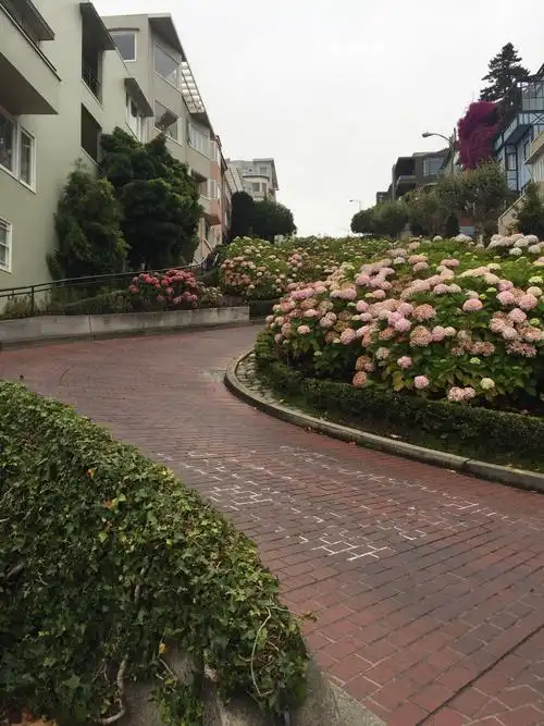 旧金山市 漂亮的九曲花街 这条街因陡峭弯曲而得名.每天有很多车道过