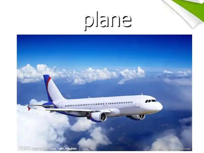 by plane