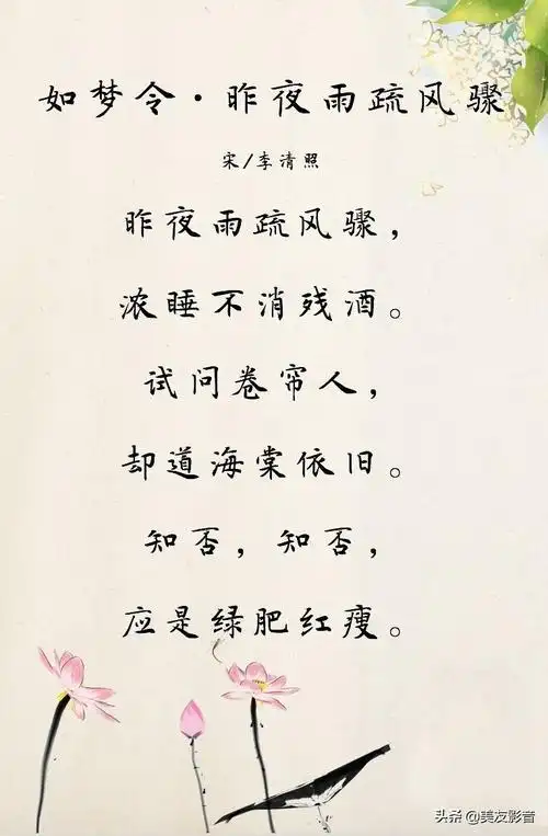 《如梦令·昨夜雨疏风骤》‖古诗词赏析
