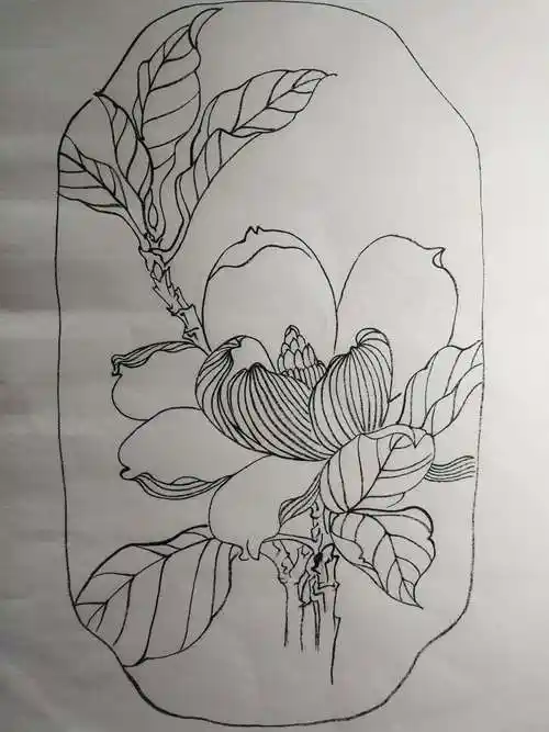 小朋友白描习作