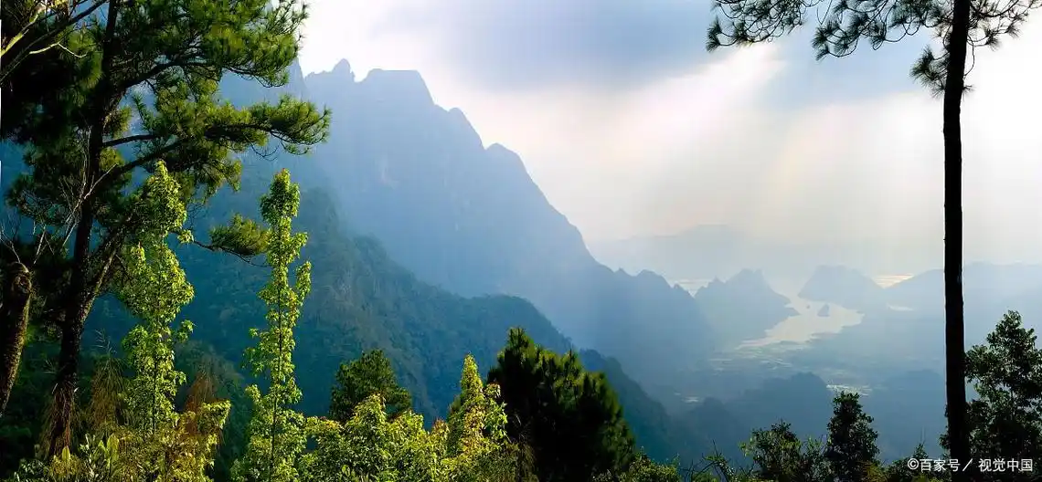 昌江霸王岭:海南最后的原始森林奇遇记