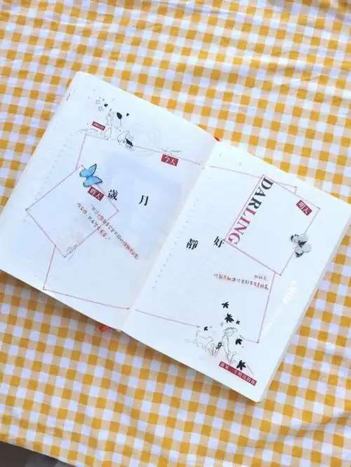 手帐满字党的爱盐系