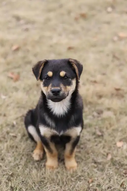 学校里的四眼家族太可爱啦!