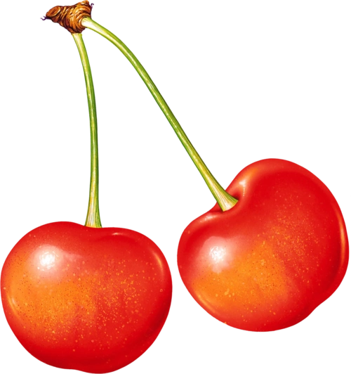 水果 樱桃 png 透明图片 免抠图设计元素素材免费下载(图片编号