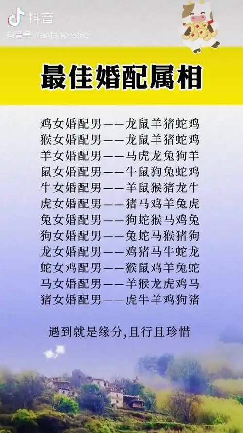 十二生肖最佳婚配属相国学智慧国学文化国学经典