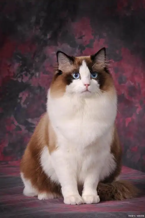 螨虫的天敌原来不是暴晒?老保姆教你1招,螨虫"消散不见了"