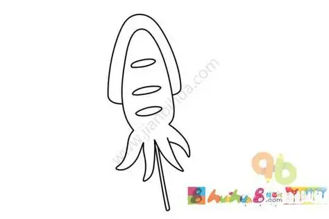 图片鱿鱼的简笔画一只大鱿鱼海洋动物简笔画图片欣赏巨型鱿鱼的简笔画
