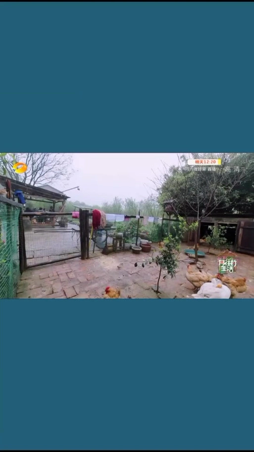 蛋仔派对张艺兴