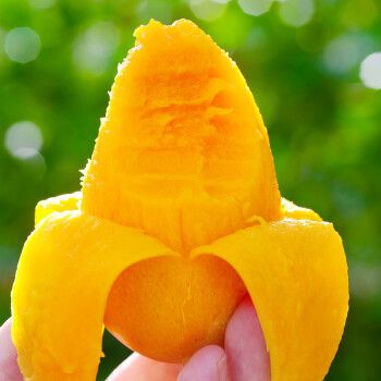 海南小台农芒果9斤新鲜现摘小台芒当季时令水果特产整箱 2斤 精选装