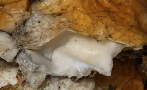 图为一块"太岁".