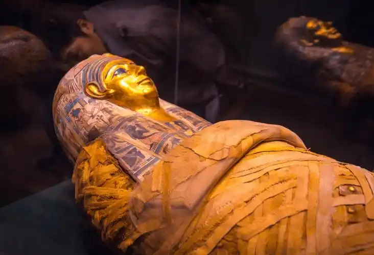 湖北省博物馆探秘古埃及文明:遗体防腐师,木乃伊和人形棺_棺材