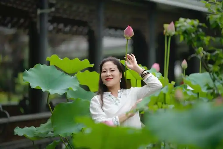 荷花拍的好看,绿叶映衬着花朵,清新脱俗.仙气飘飘