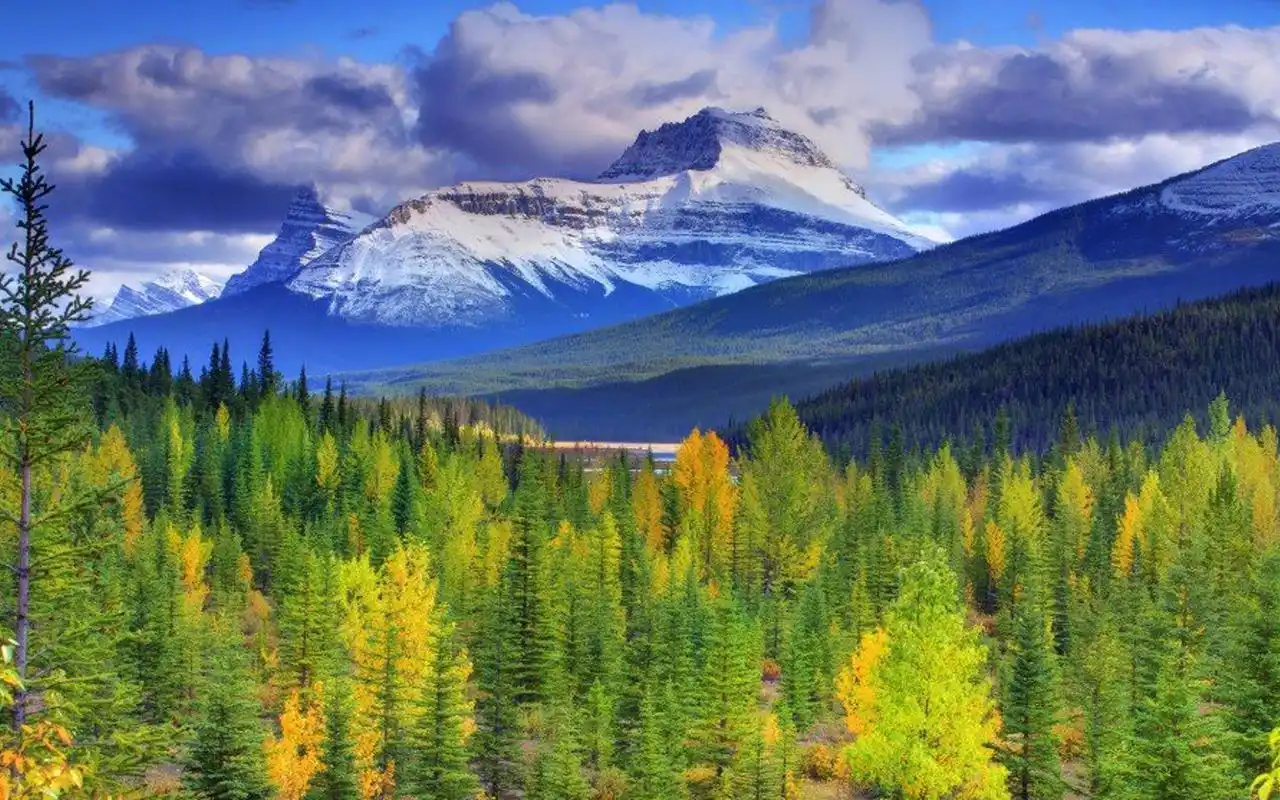 护眼的自然美景图片非常适合做壁纸哦~~喜欢风景类壁纸就赶紧来美桌网