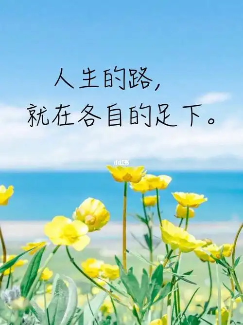 笔记~人生的路都要靠自己走出来!9090