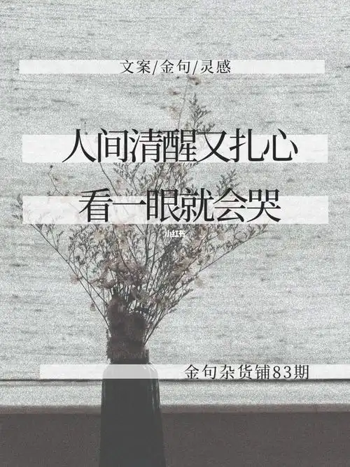 把你归还人海是清醒也是知趣