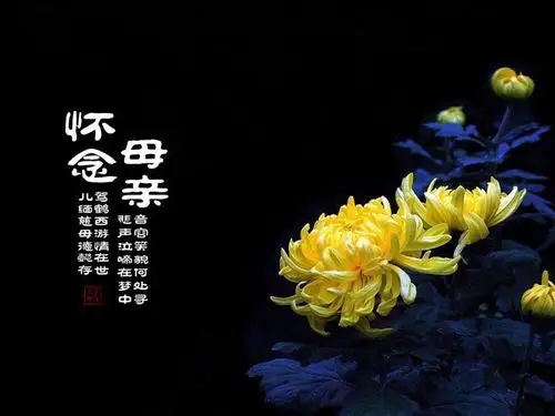 愿天堂没有病痛,愿娘亲好好安息!永远想念您!