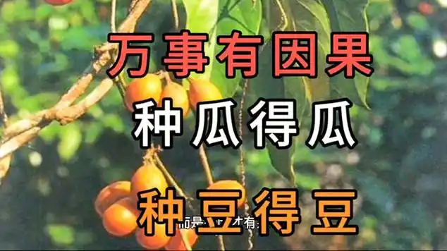 凡事有因果种瓜得瓜种豆得豆