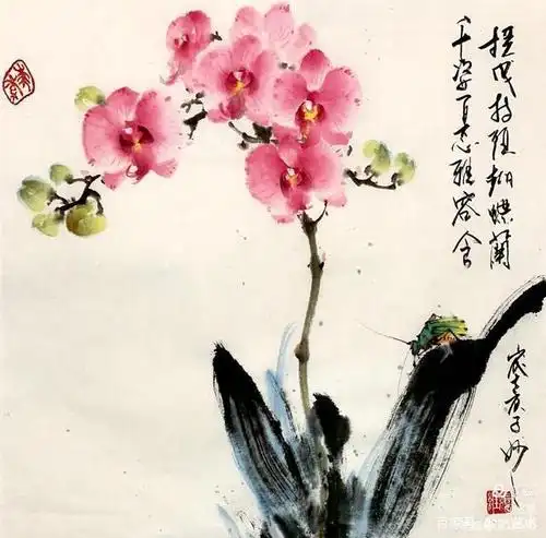 国画技法:蝴蝶兰的画法