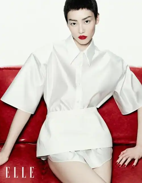 刘雯,《elle》三月刊开季封面,寸头造型吸睛|elle|寸头|刘雯_新浪新闻