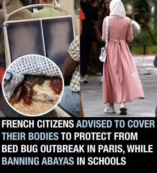 大爆发这种虫子吸人血通常藏在床垫枕头里消灭方法速速码住