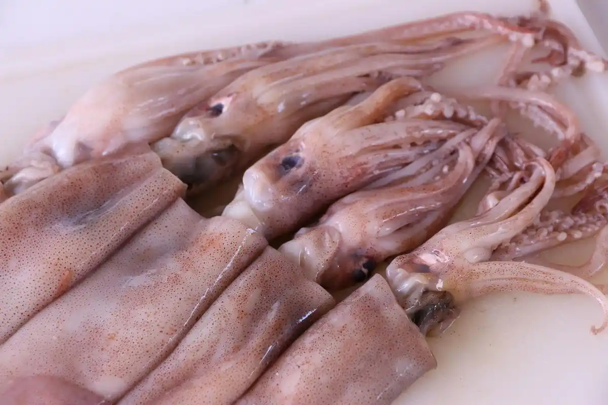 首先,鱿鱼富含高质量的蛋白质,这对于孕期女性来说至关重要,因为蛋白