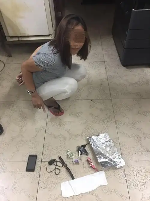 目前,已将嫌疑人邢某莎依法刑事拘留,案件正进一步侦办和追赃中.