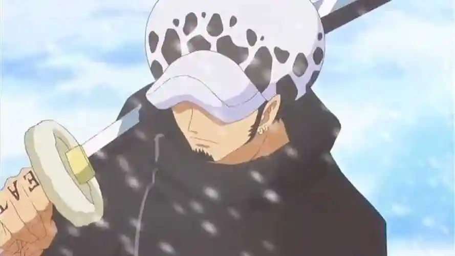 海贼王特写特拉法尔加d罗