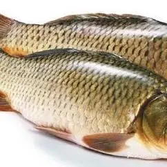 罗宽湘炝锅鱼川菜馆