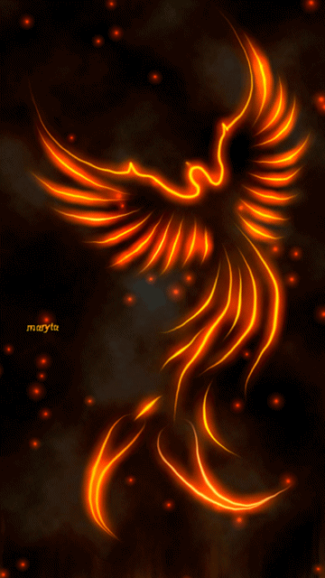 360_640竖版 竖屏gif 动态图 动图