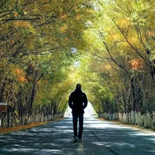 emo伤感头像图片