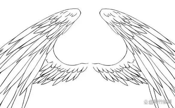 不再羡慕别人,跟着教程学会画出帅气翅膀,你也可以